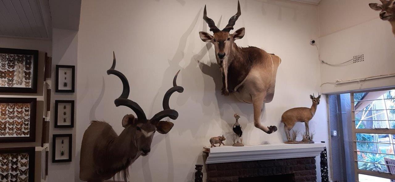 Afton Safari Lodge Kempton Park Dış mekan fotoğraf